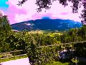 IMG_1031 copy